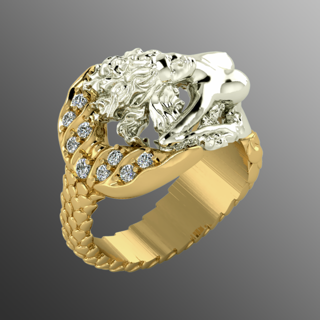 ring op2 Modelo 3D .c4d .max .obj .3ds .fbx .stl .blend 