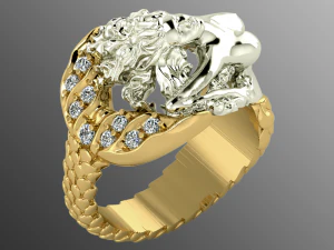 Ring op2 3D Modell