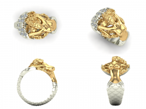 ring op2 Modelo 3D
