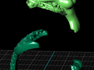 ring op2 Modelo 3D