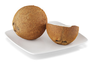Coconut Model 3D