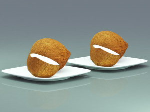 Coconut Model 3D