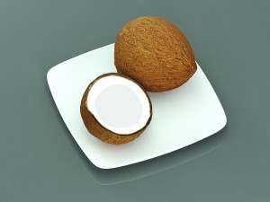 Coconut Model 3D