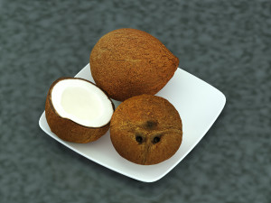 Coconut Model 3D