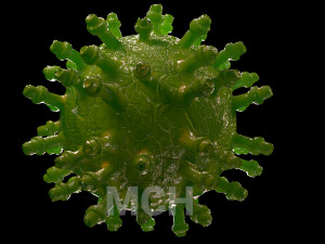 virus pack 3D मॉडल
