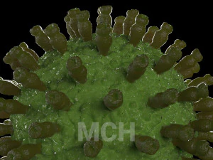 virus pack 3D Model