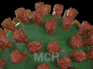virus pack 3D मॉडल