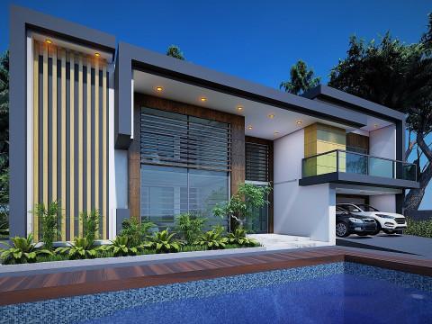 CONTEMPORARY VILLA ANAPHALIS JAVANICA Modèle 3D