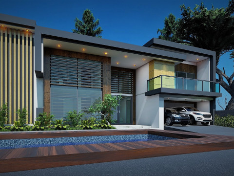 CONTEMPORARY VILLA ANAPHALIS JAVANICA 3D 모델