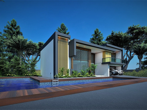 CONTEMPORARY VILLA ANAPHALIS JAVANICA 3D 모델