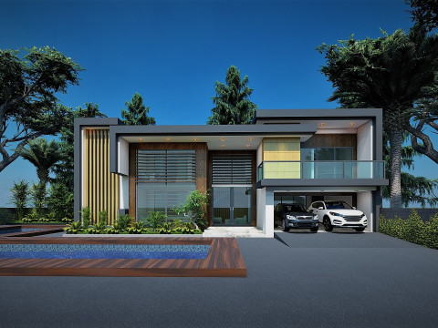 CONTEMPORARY VILLA ANAPHALIS JAVANICA 3D 모델