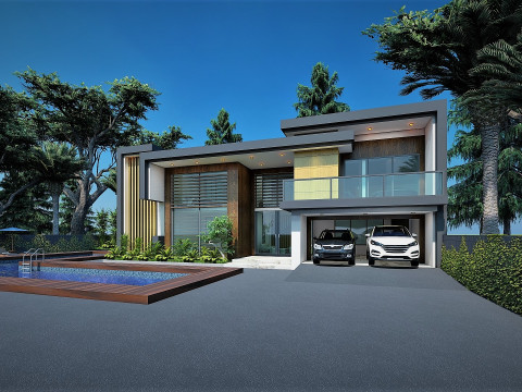CONTEMPORARY VILLA ANAPHALIS JAVANICA 3D 모델
