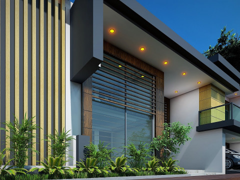 CONTEMPORARY VILLA ANAPHALIS JAVANICA 3D 모델