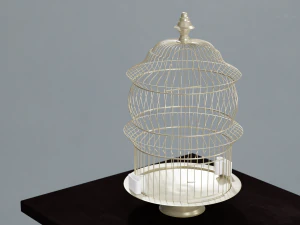 birdcage vintage 3D Model