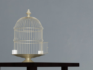 birdcage vintage 3D Model