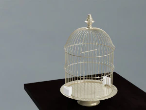 birdcage vintage 3D Model