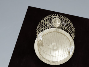 birdcage vintage Modello 3D