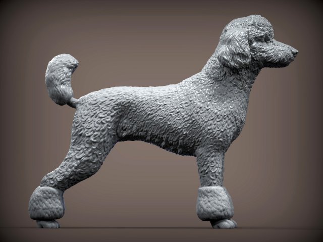 Poodle 3d print model 3Dプリントモデル .c4d .max .obj .3ds .fbx .stl .blend