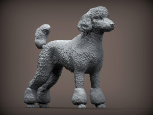 Poodle 3d print model 3Dプリントモデル