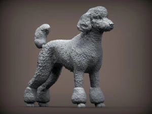 Poodle 3d print model 3D Print Model