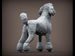Poodle 3d print model 3Dプリントモデル