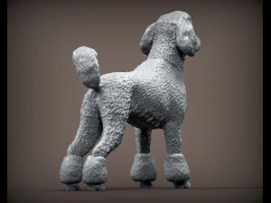 Poodle 3d print model 3D Print Model