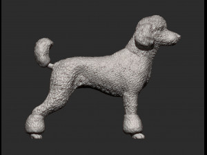 Poodle 3d print model 3Dプリントモデル