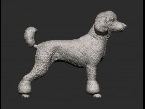 Poodle 3d print model 3D Print Model