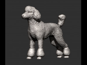 Poodle 3d print model 3Dプリントモデル