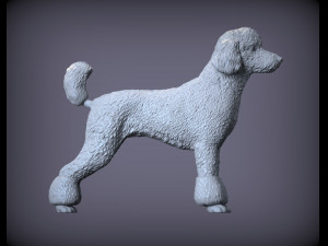 Poodle 3d print model 3Dプリントモデル