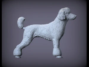 Poodle 3d print model 3D Print Model