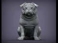 Pug for 3d printing 3d print model Modelo de Impressão 3D