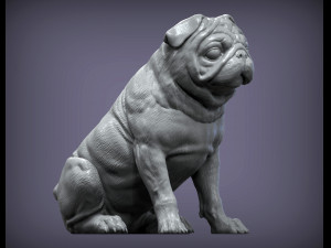 Pug for 3d printing 3d print model 3D प्रिंट मॉडल