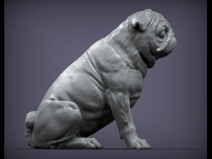 Pug for 3d printing 3d print model 3D प्रिंट मॉडल