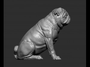 Pug for 3d printing 3d print model 3D प्रिंट मॉडल