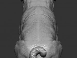 Pug for 3d printing 3d print model 3D Print Model