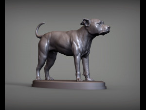 pitbull 3d print model 3D Print Model