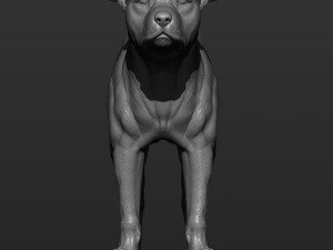 Pitbull 3d print model 3D Принт Модель