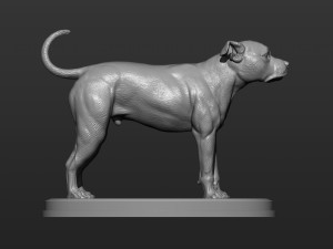 Pitbull 3d print model 3D Принт Модель