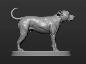 Pitbull 3d print model 3D Print Model