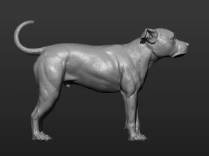 Pitbull 3d print model 3D Print Model