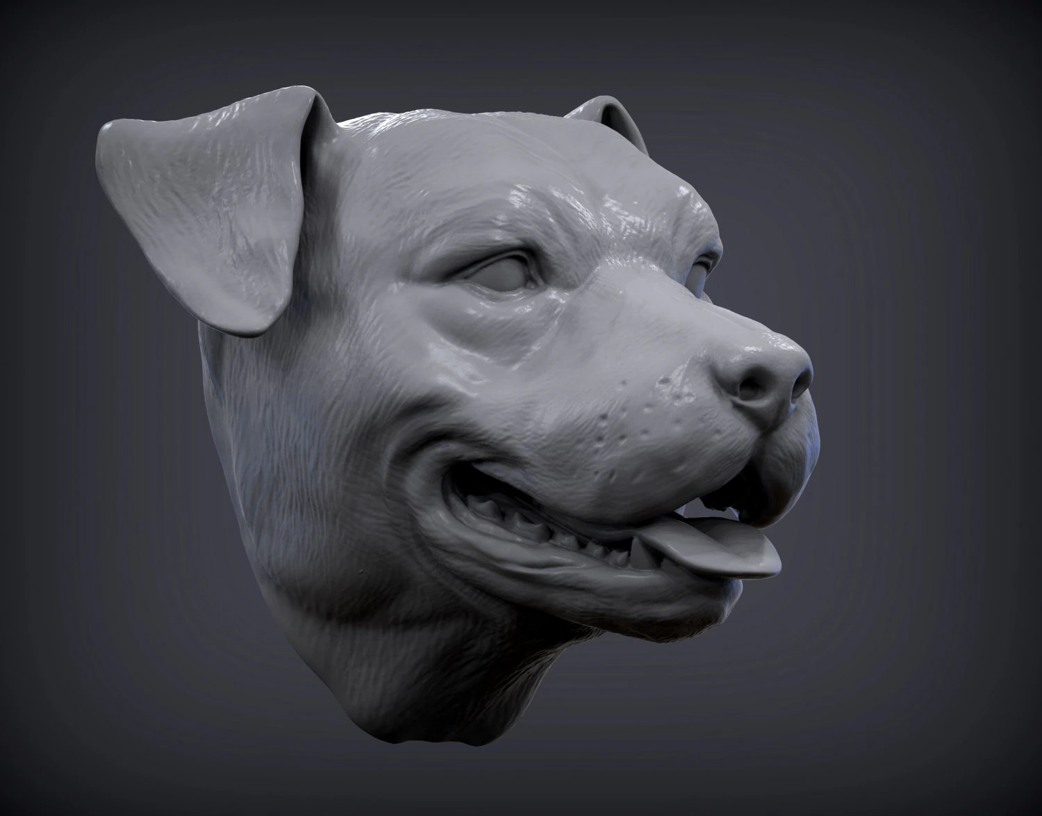 Pit bull head 3d print model 3D Print Model .c4d .max .obj .3ds .fbx .stl .blend