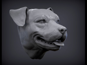 pit bull head 3d print model 3D Print Model