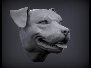 Modello di stampa 3d della testa di pitbull Modello di stampa 3D