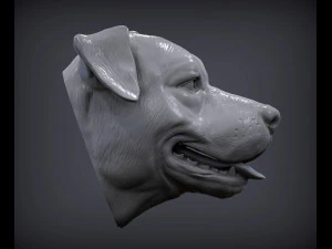 Pit bull head 3d print model 3D Print Model