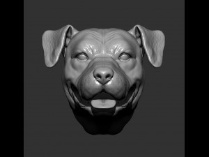 Pit bull head 3d print model 3D Print Model