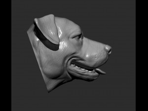 Pit bull head 3d print model 3D Print Model