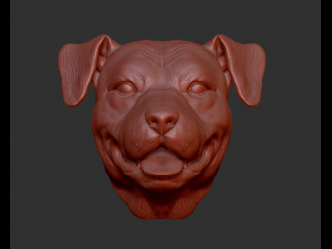 Pit bull head 3d print model 3D Print Model