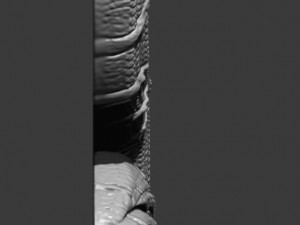 Snake 3d print model Modèles 3D en vedette
