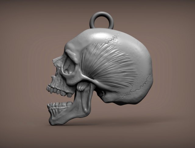 Skull 3d print model Modelo de impresión 3D .c4d .max .obj .3ds .fbx .stl .blend